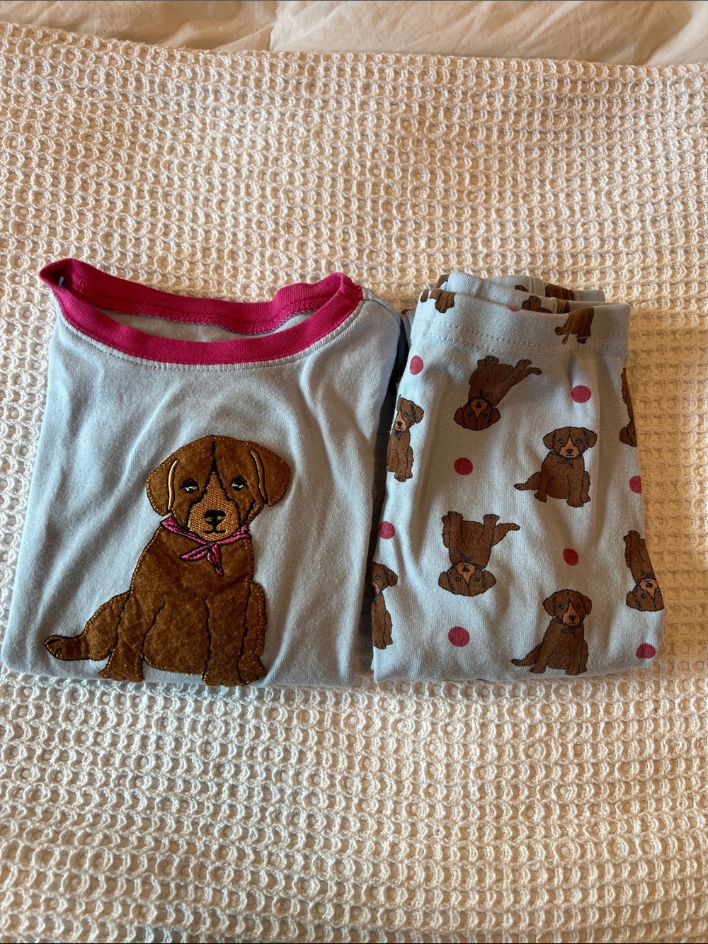 Kids chocolate lab Puppy Print Light Blue Pajama Set with Pink Trim